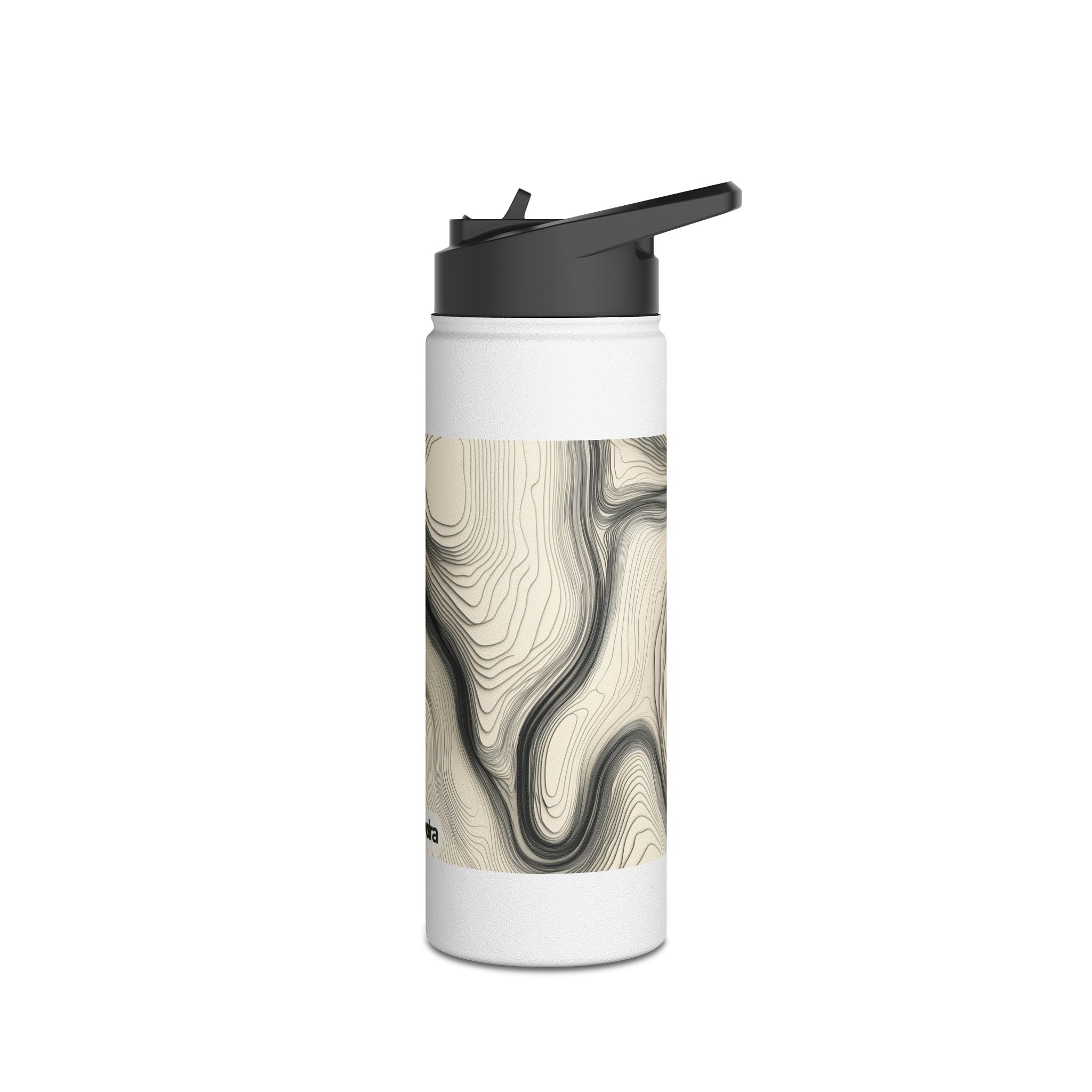 Stylish Stainless Steel Water Bottle